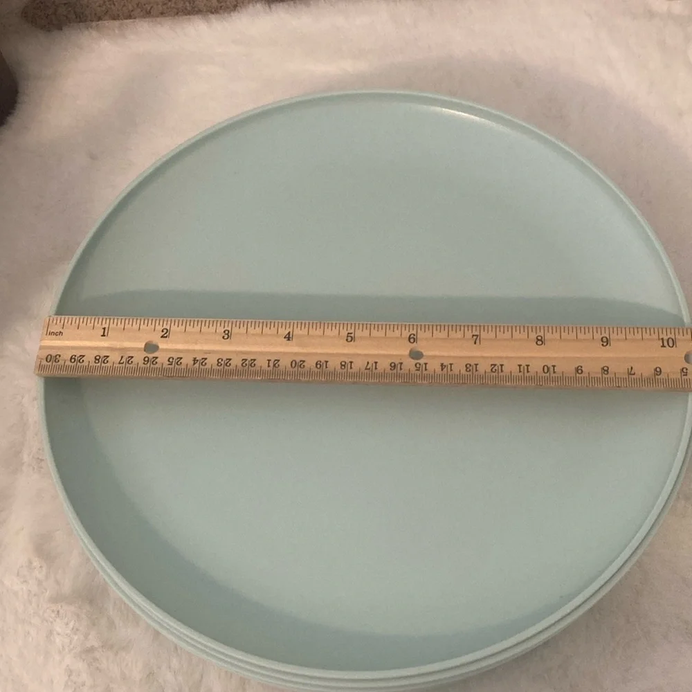 Target 2020 Plastic Dinner Plates in Light Blue